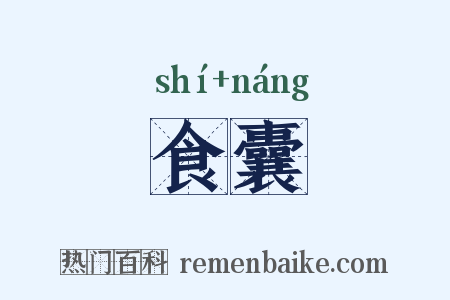 食囊是什么意思的图片